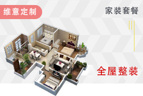 维意定制